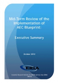 Mid-Term review of the implememtation of AEC blueprint