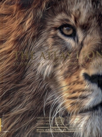 The Atlas Lion